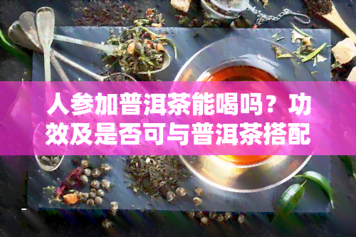 人参加普洱茶能喝吗？功效及是否可与普洱茶搭配？