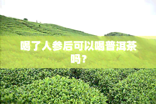 喝了人参后可以喝普洱茶吗？