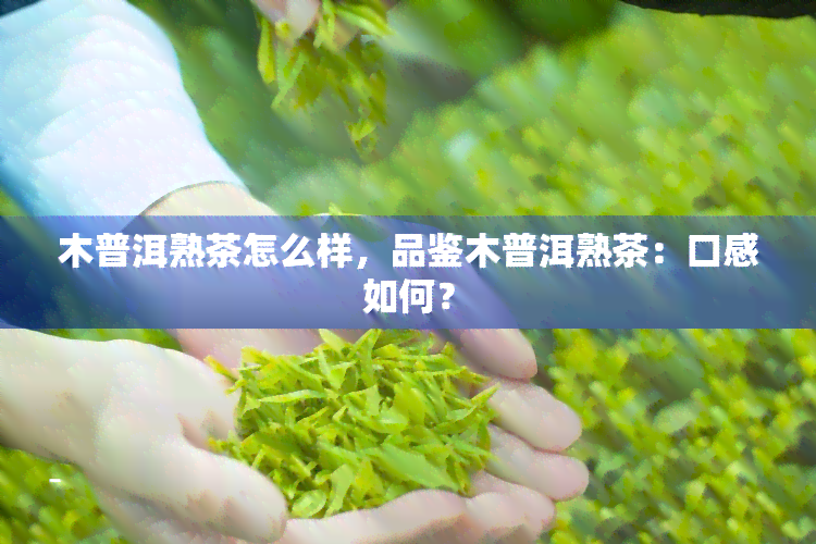 木普洱熟茶怎么样，品鉴木普洱熟茶：口感如何？