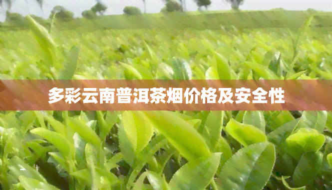 多彩云南普洱茶价格及安全性