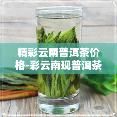 精彩云南普洱茶价格-彩云南现普洱茶