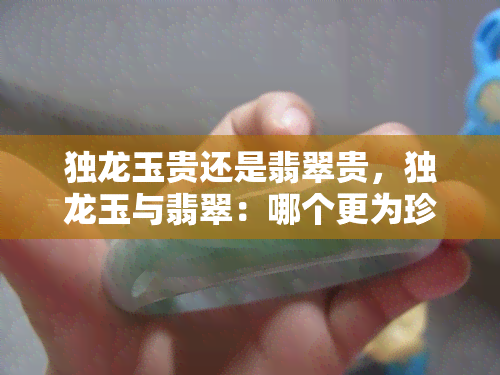 独龙玉贵还是翡翠贵，独龙玉与翡翠：哪个更为珍贵？