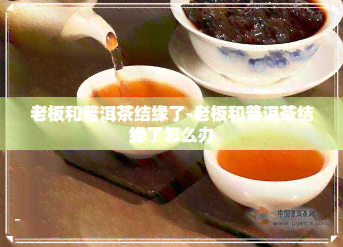 老板和普洱茶结缘了-老板和普洱茶结缘了怎么办