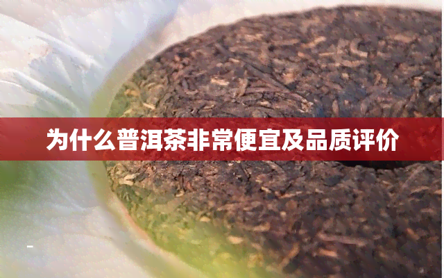 为什么普洱茶非常便宜及品质评价