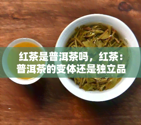 红茶是普洱茶吗，红茶：普洱茶的变体还是独立品类？