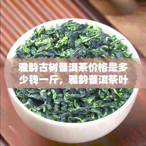 雅韵古树普洱茶价格是多少钱一斤，雅韵普洱茶叶多少钱