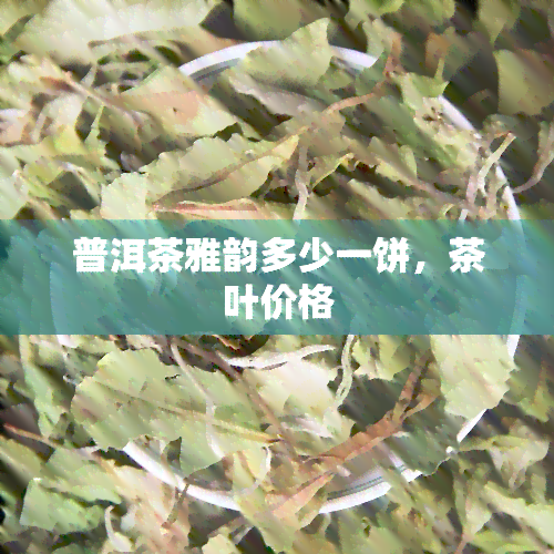 普洱茶雅韵多少一饼，茶叶价格