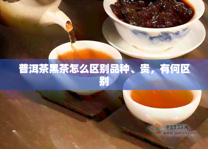 普洱茶黑茶怎么区别品种、贵，有何区别