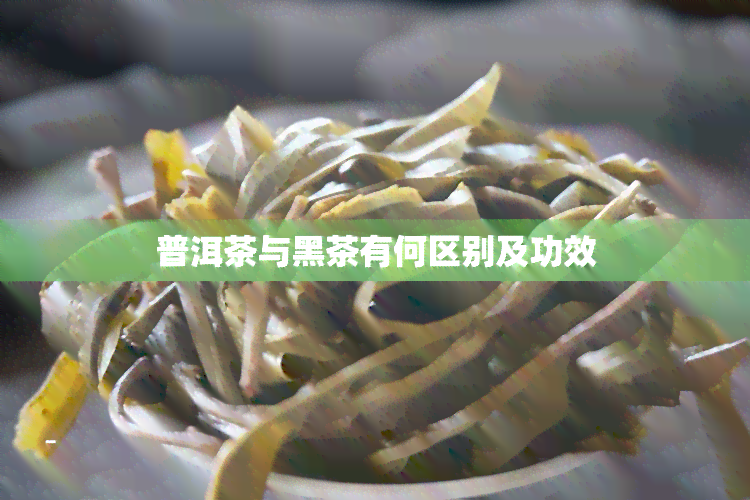 普洱茶与黑茶有何区别及功效