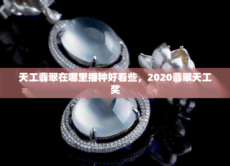 天工翡翠在哪里播种好看些，2020翡翠天工奖