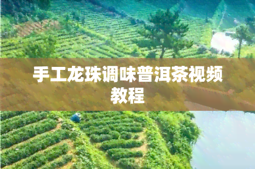 手工龙珠调味普洱茶视频教程