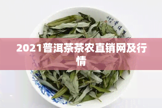 2021普洱茶茶农直销网及行情