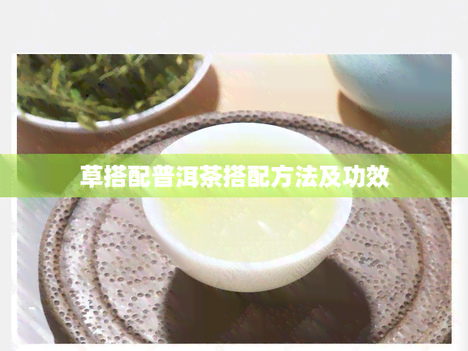 草搭配普洱茶搭配方法及功效