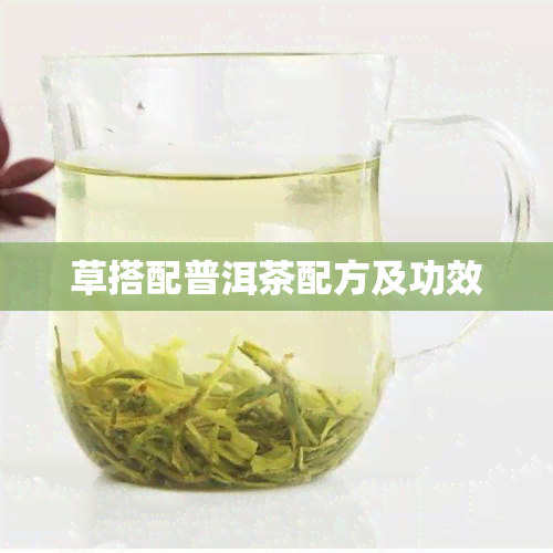 草搭配普洱茶配方及功效