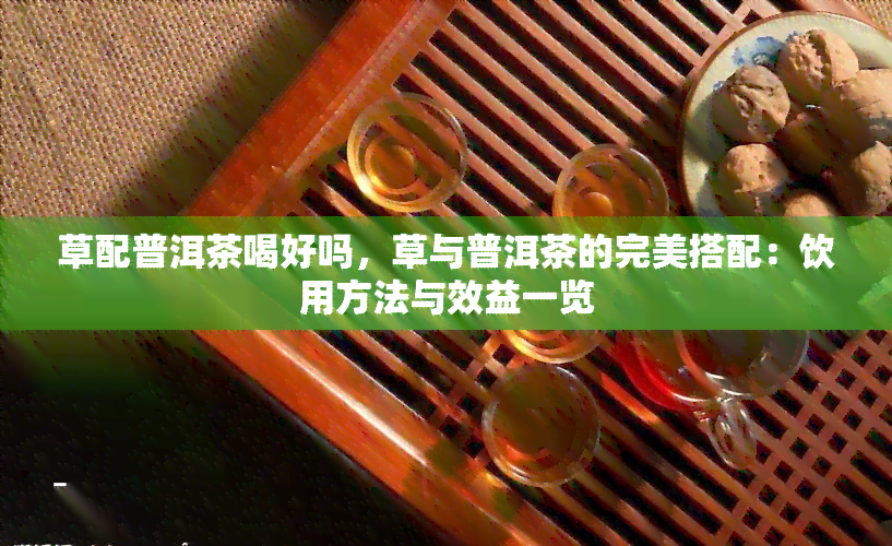 草配普洱茶喝好吗，草与普洱茶的完美搭配：饮用方法与效益一览