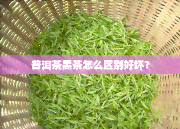 普洱茶黑茶怎么区别好坏？