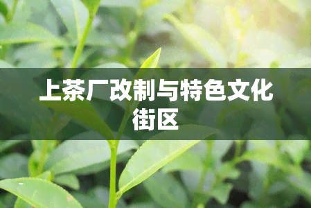 上茶厂改制与特色文化街区