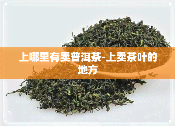 上哪里有卖普洱茶-上卖茶叶的地方