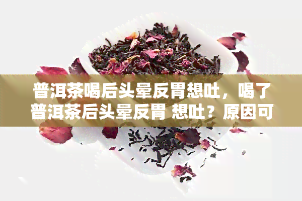 普洱茶喝后头晕反胃想吐，喝了普洱茶后头晕反胃 想吐？原因可能是什么？