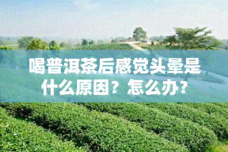 喝普洱茶后感觉头晕是什么原因？怎么办？