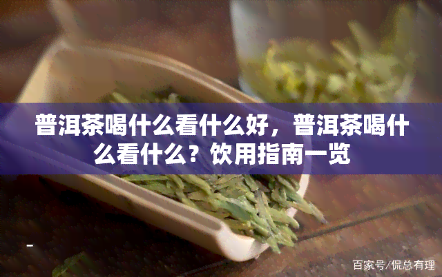 普洱茶喝什么看什么好，普洱茶喝什么看什么？饮用指南一览