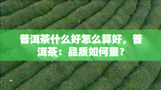 普洱茶什么好怎么算好，普洱茶：品质如何量？