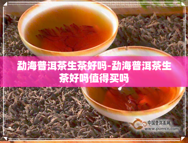 勐海普洱茶生茶好吗-勐海普洱茶生茶好吗值得买吗