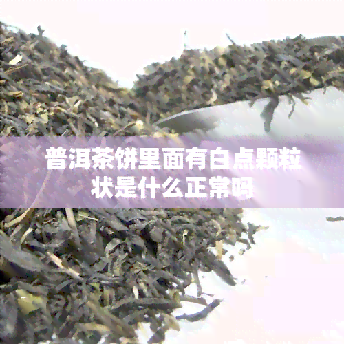 普洱茶饼里面有白点颗粒状是什么正常吗