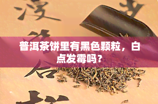 普洱茶饼里有黑色颗粒，白点发霉吗？