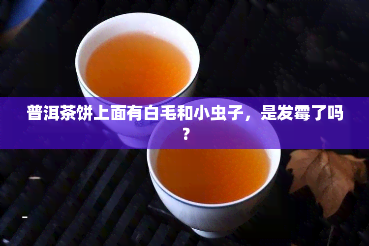 普洱茶饼上面有白毛和小虫子，是发霉了吗？