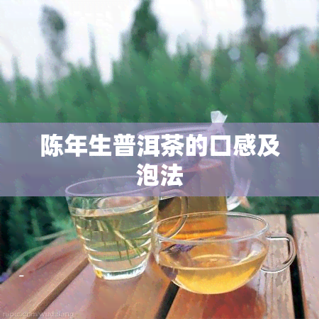 陈年生普洱茶的口感及泡法