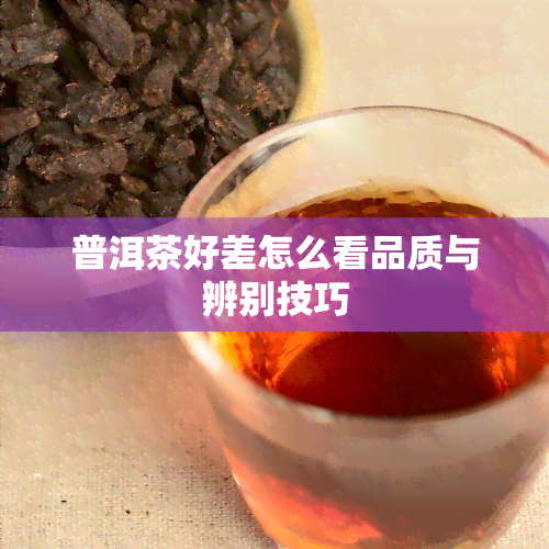 普洱茶好差怎么看品质与辨别技巧