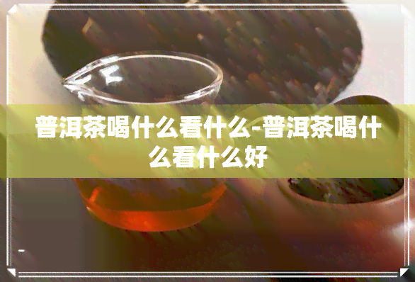 普洱茶喝什么看什么-普洱茶喝什么看什么好