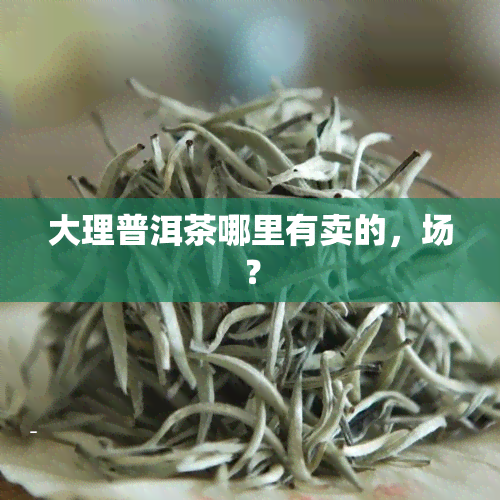 大理普洱茶哪里有卖的，场？