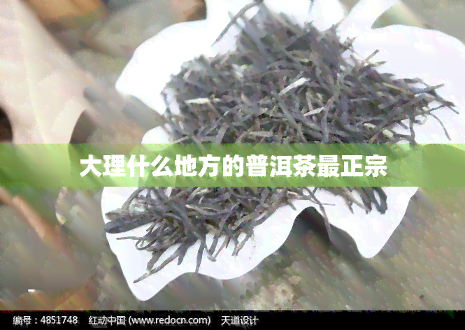 大理什么地方的普洱茶最正宗