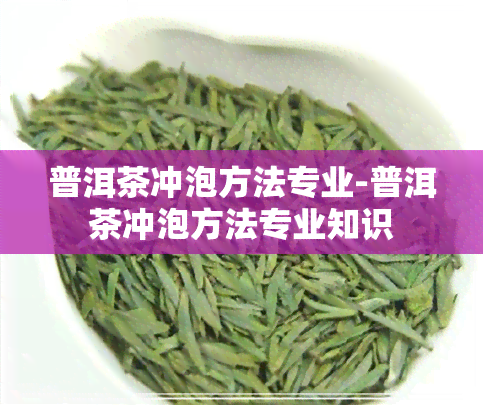 普洱茶冲泡方法专业-普洱茶冲泡方法专业知识