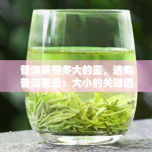 普洱茶用多大的壶，选购普洱茶壶：大小的关键因素解析