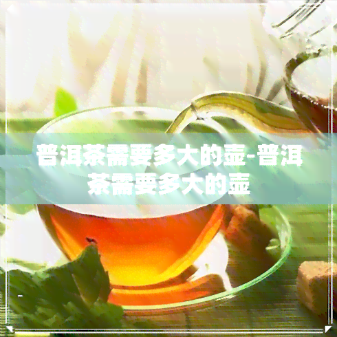 普洱茶需要多大的壶-普洱茶需要多大的壶