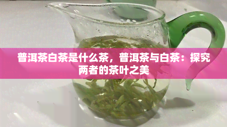 普洱茶白茶是什么茶，普洱茶与白茶：探究两者的茶叶之美