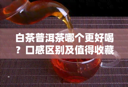 白茶普洱茶哪个更好喝？口感区别及值得收藏？