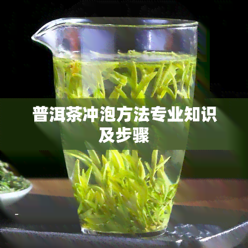 普洱茶冲泡方法专业知识及步骤