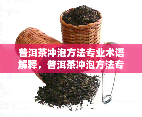 普洱茶冲泡方法专业术语解释，普洱茶冲泡方法专业术语解读：深入理解茶艺的奥秘