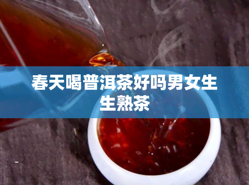 春天喝普洱茶好吗男女生生熟茶