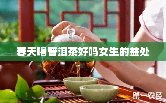 春天喝普洱茶好吗女生的益处