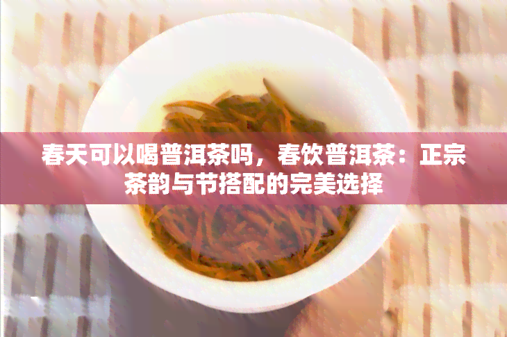 春天可以喝普洱茶吗，春饮普洱茶：正宗茶韵与节搭配的完美选择