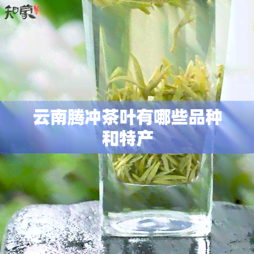 云南腾冲茶叶有哪些品种和特产