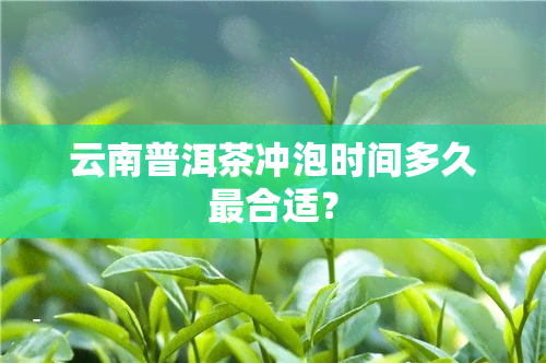 云南普洱茶冲泡时间多久最合适？