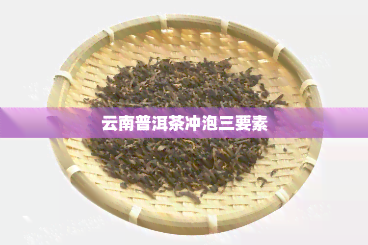 云南普洱茶冲泡三要素