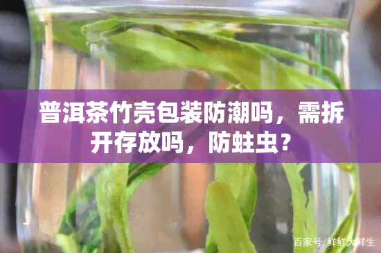 普洱茶竹壳包装防潮吗，需拆开存放吗，防蛀虫？