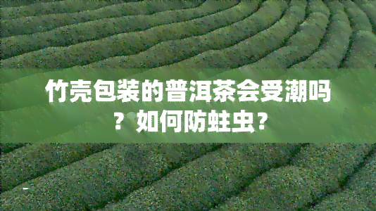 竹壳包装的普洱茶会受潮吗？如何防蛀虫？